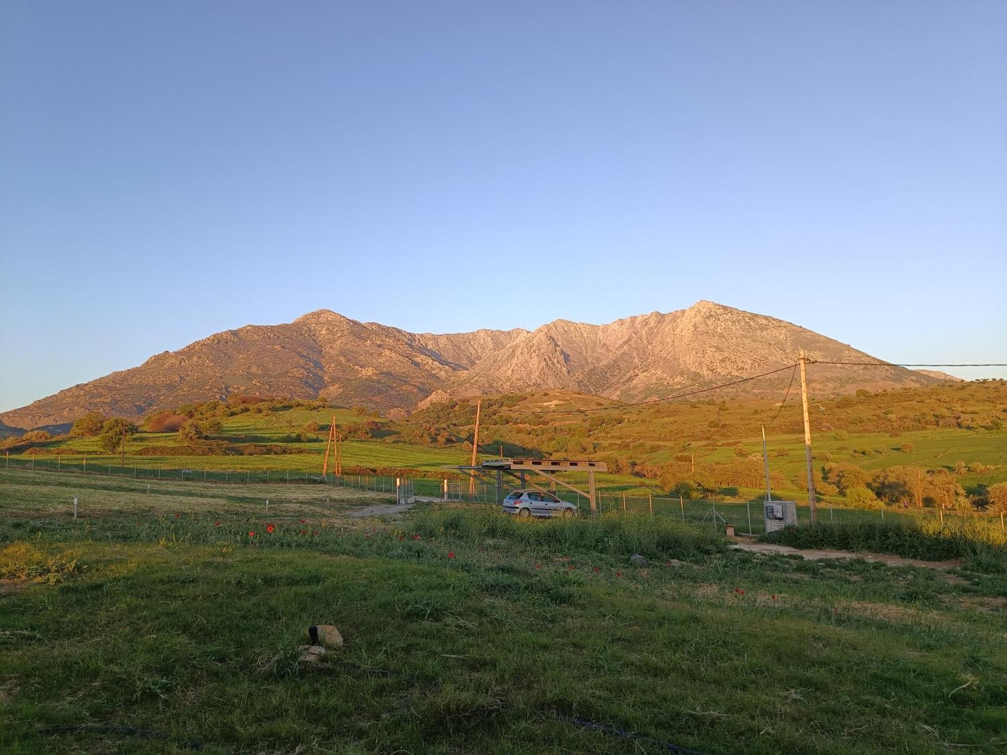 Pezoulia Cottages Самотраки Екстериор снимка