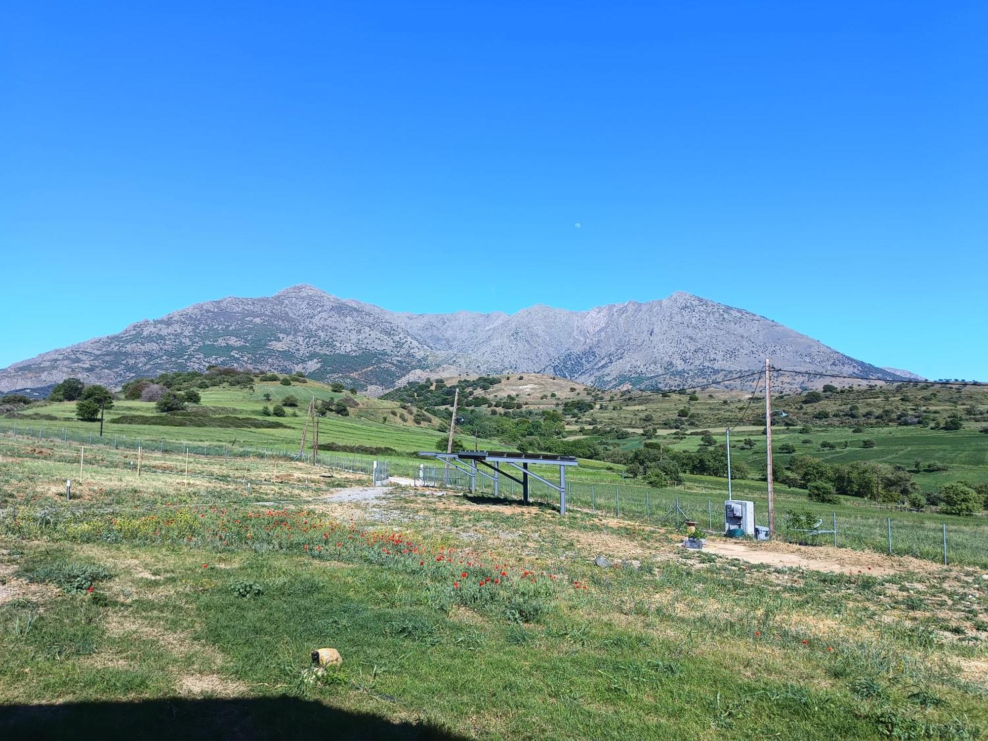 Pezoulia Cottages Самотраки Екстериор снимка